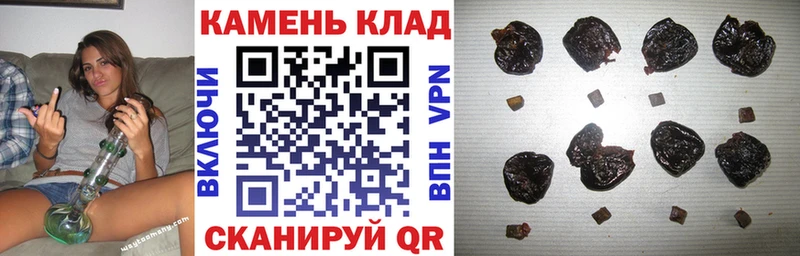 Гашиш Изолятор  Зеленогорск 